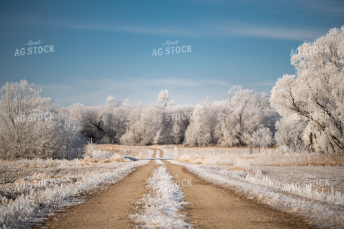 Frosted Dirt Road 76704