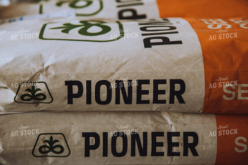 Pioneer Seed Corn 67216