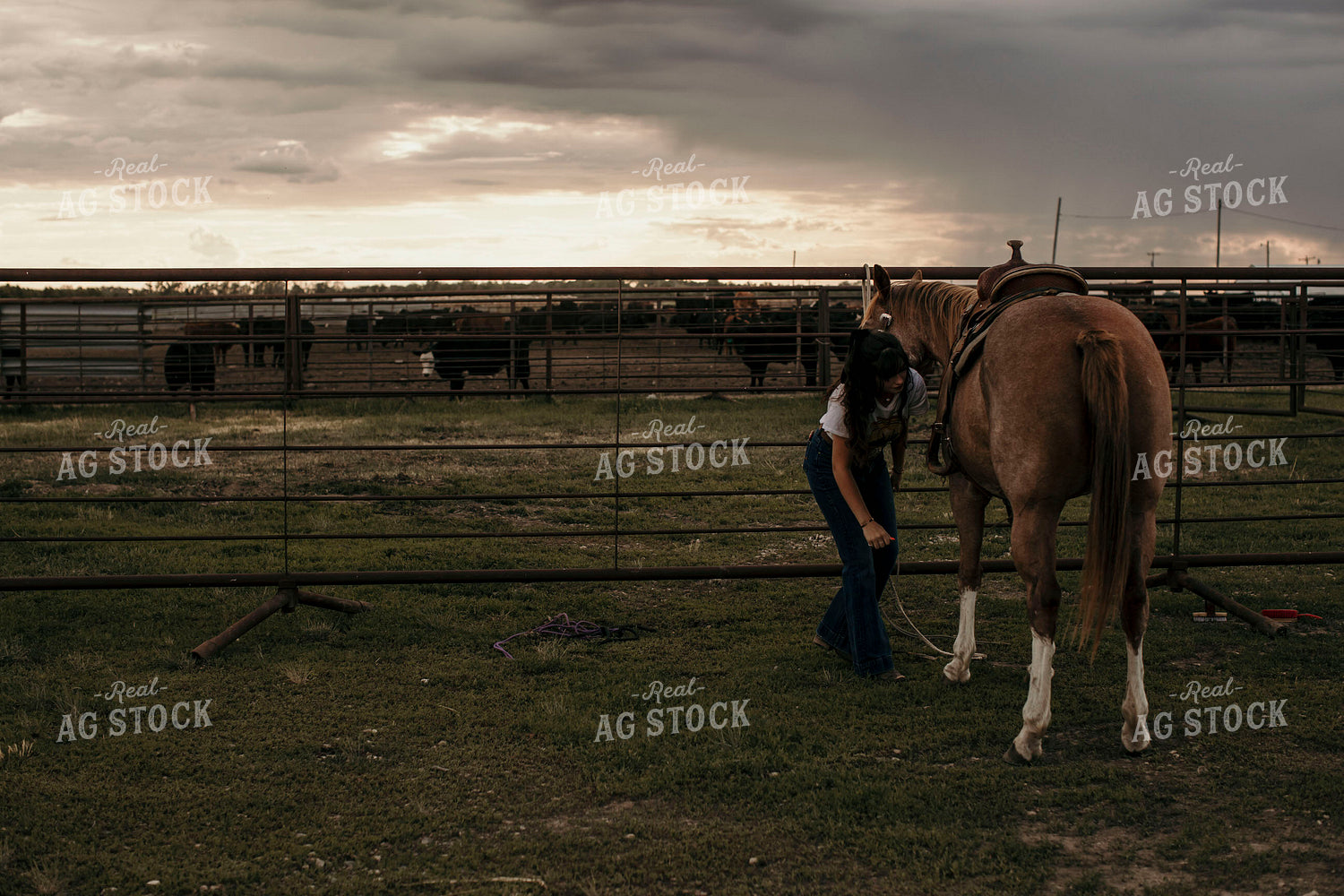 Feedyard 3062
