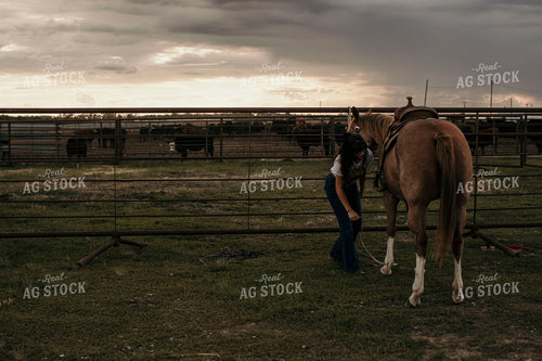 Feedyard 3062
