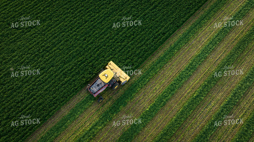Cutting Alfalfa Hay Drone 56331