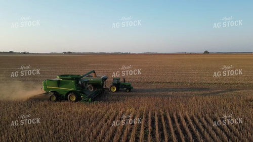 Soybean Harvest 115192