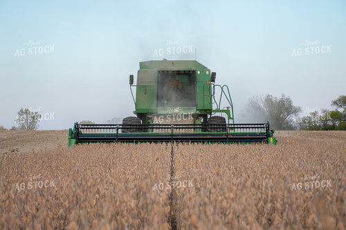 Soybean Harvest 50305