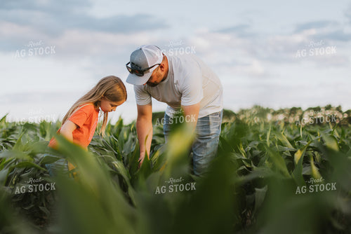Farmer and Daughter Checking Corn 8803