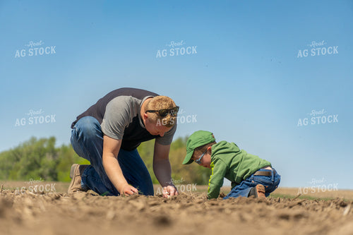 Farmer and Son Checking Seed Depth 65181