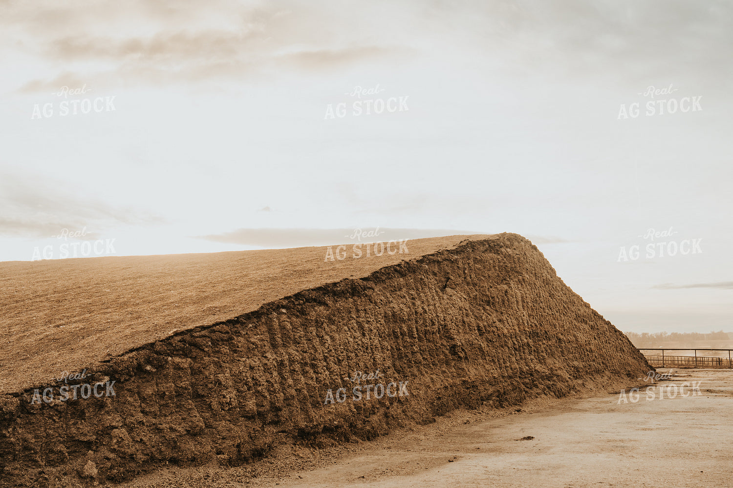 Uncovered Silage Pile 61259