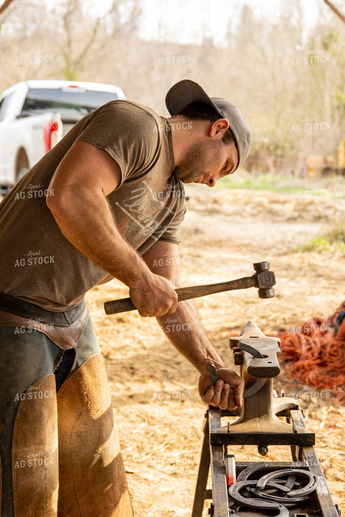 Farrier Shoeing Horses 52421