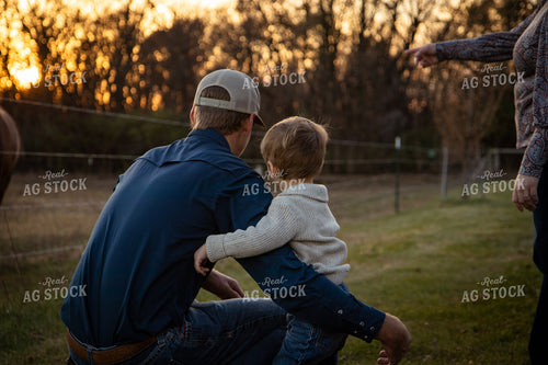 Farm Family Checking Cattle 268132