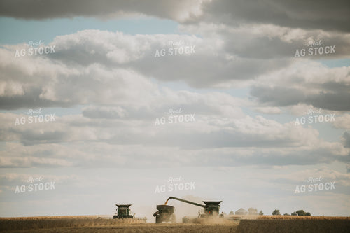 Soybean Harvest 6862