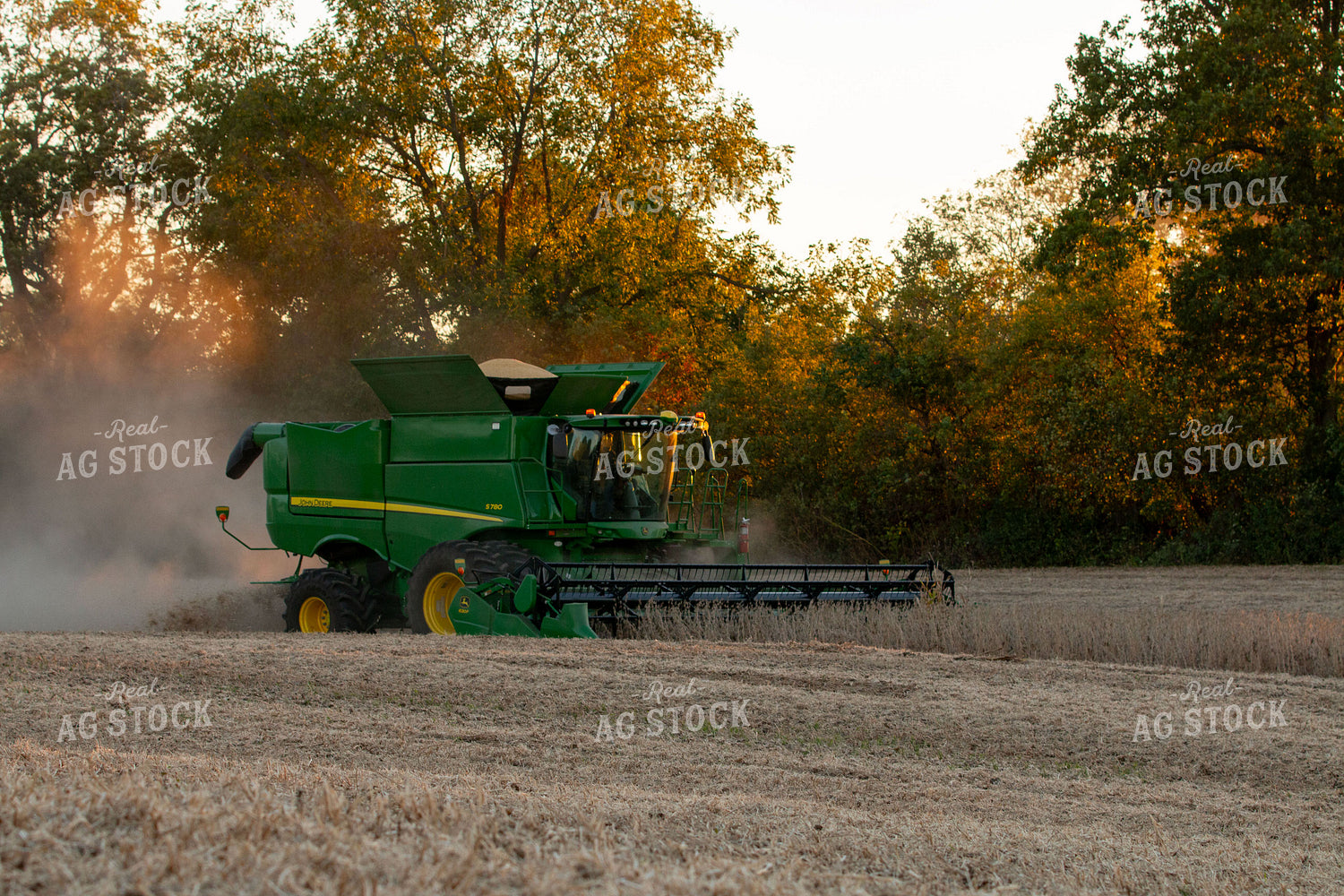 Soybean Harvest 157116