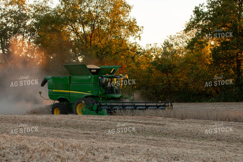Soybean Harvest 157116