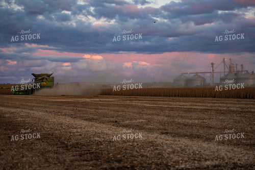 Soybean Harvest 136232
