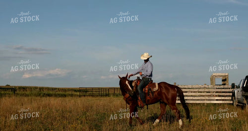 Rancher on Horseback 6515