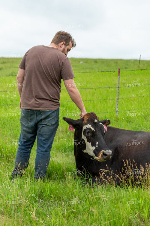 Farmer with Cow 155644