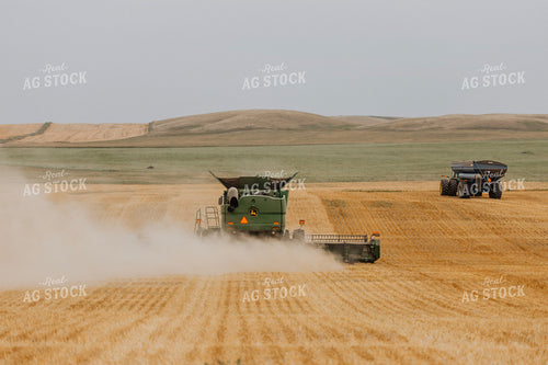 Wheat Harvest 187232