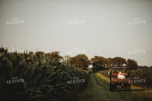 Farm Kids in UTV Alongside Corn Fields 4544