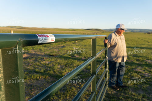 Farmer Closing Gate 65225