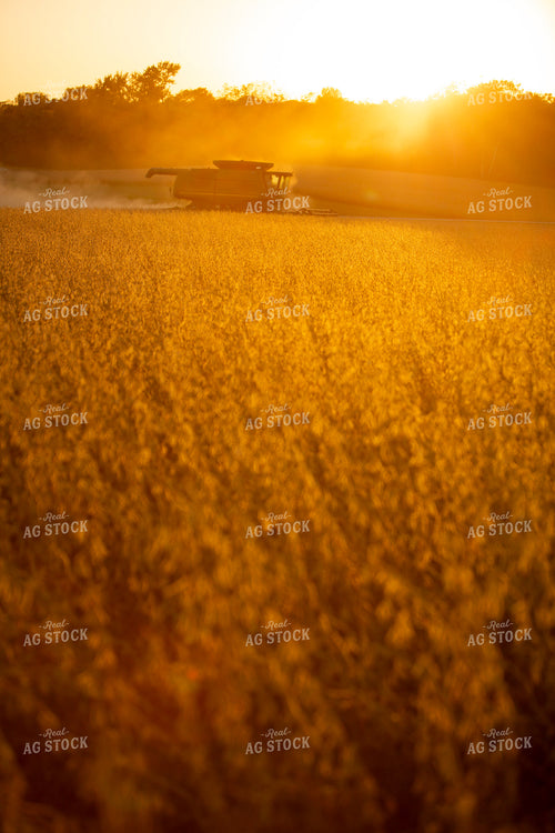 Harvest 1767