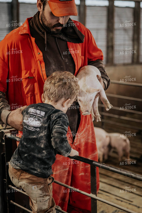 Farmer and Son with Piglet 289069