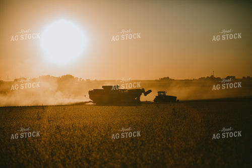 Combine and Tractor Silhouette Cutting Soybeans 4748