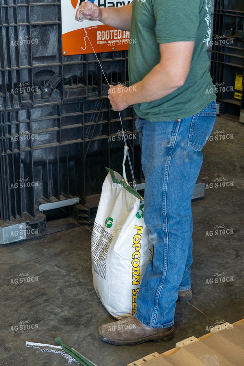 Preparing to Plant Popcorn 65399