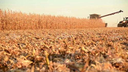 Combine Unloading Corn into an Auger Wagon - 559