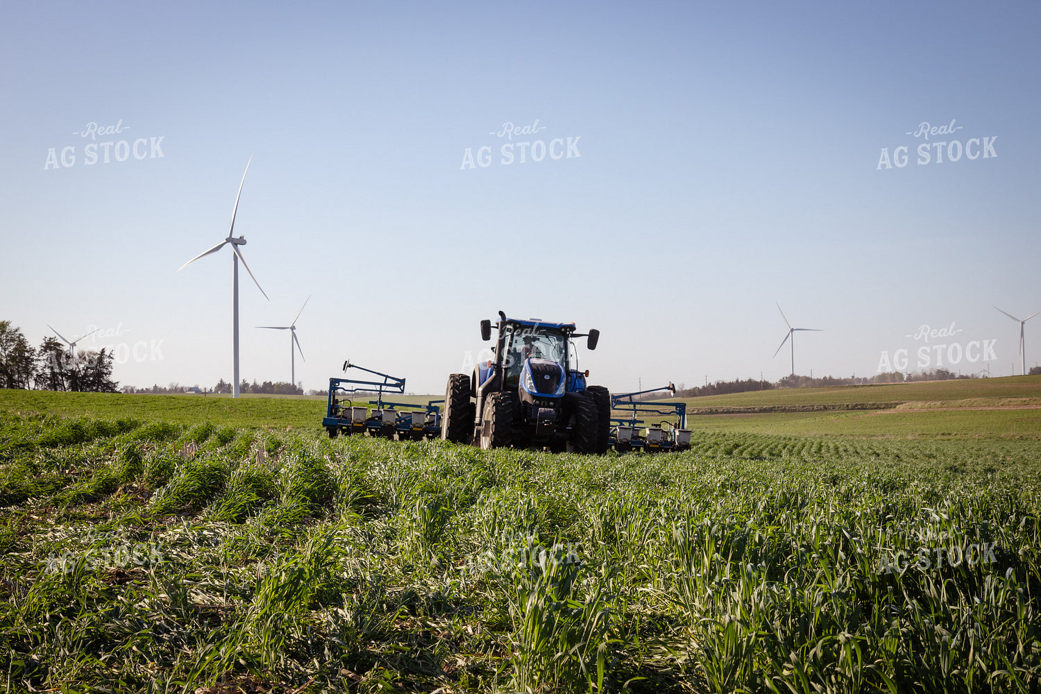Planting into Cover Crop 268322