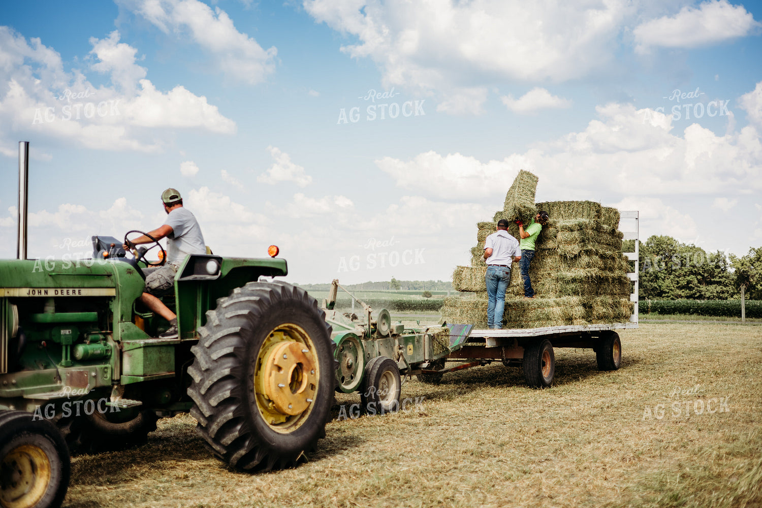 Baling Square Hay Bales 281039