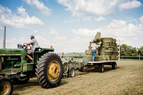 Baling Square Hay Bales 281039