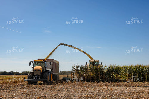Silage Harvest 152292