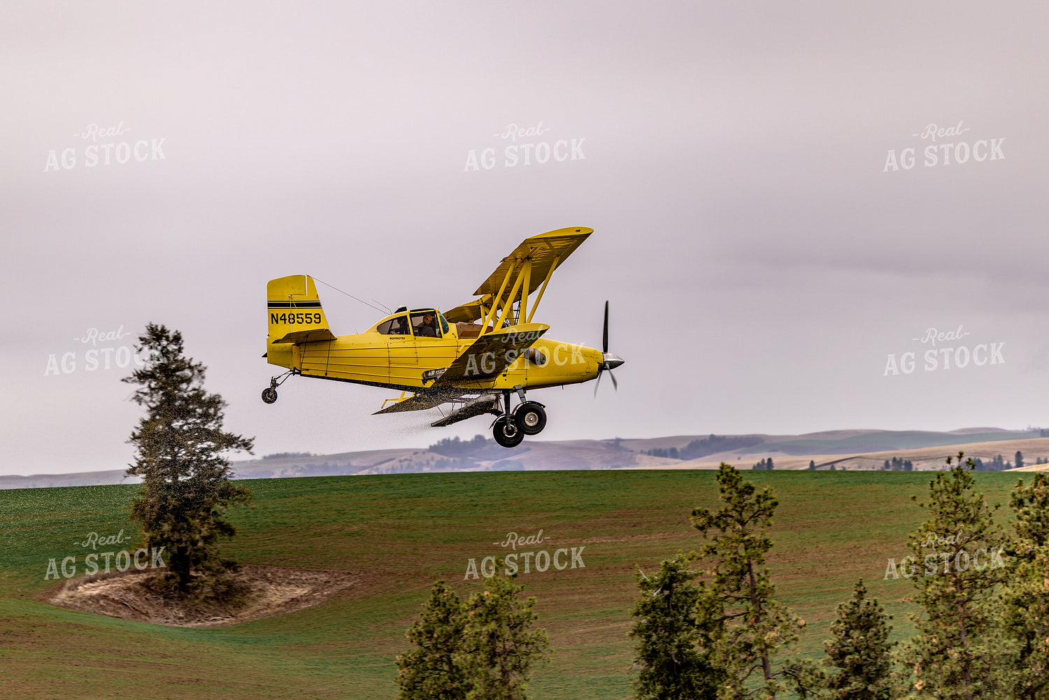 Crop Duster 188137