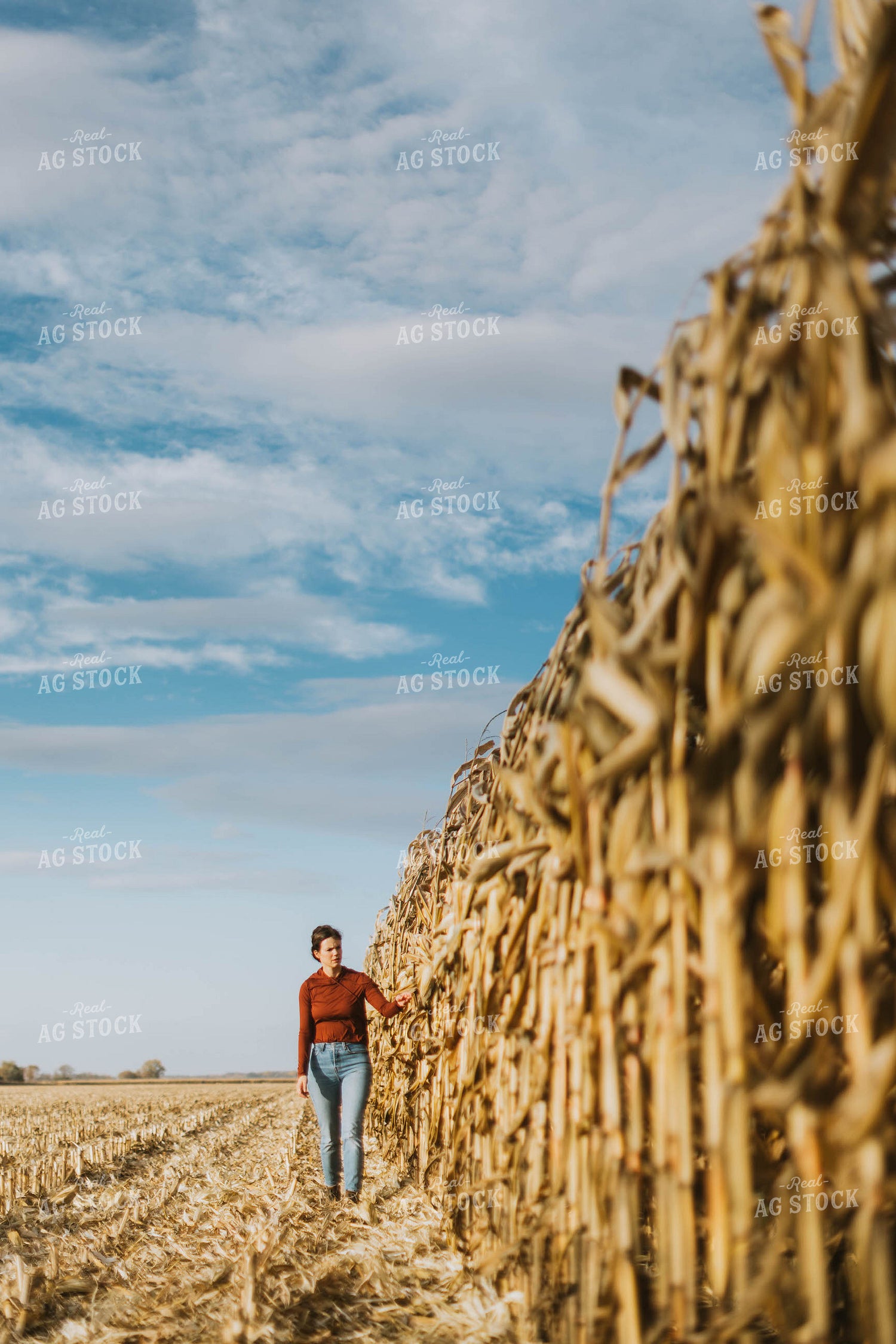 Female Farmer Checking Corn 8516