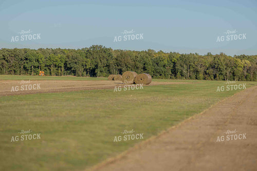 Rolls of Sod 291030