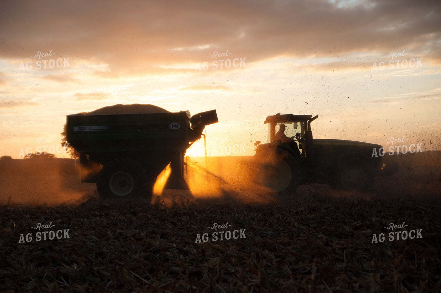 Grain Cart in Field at Sunset 103043
