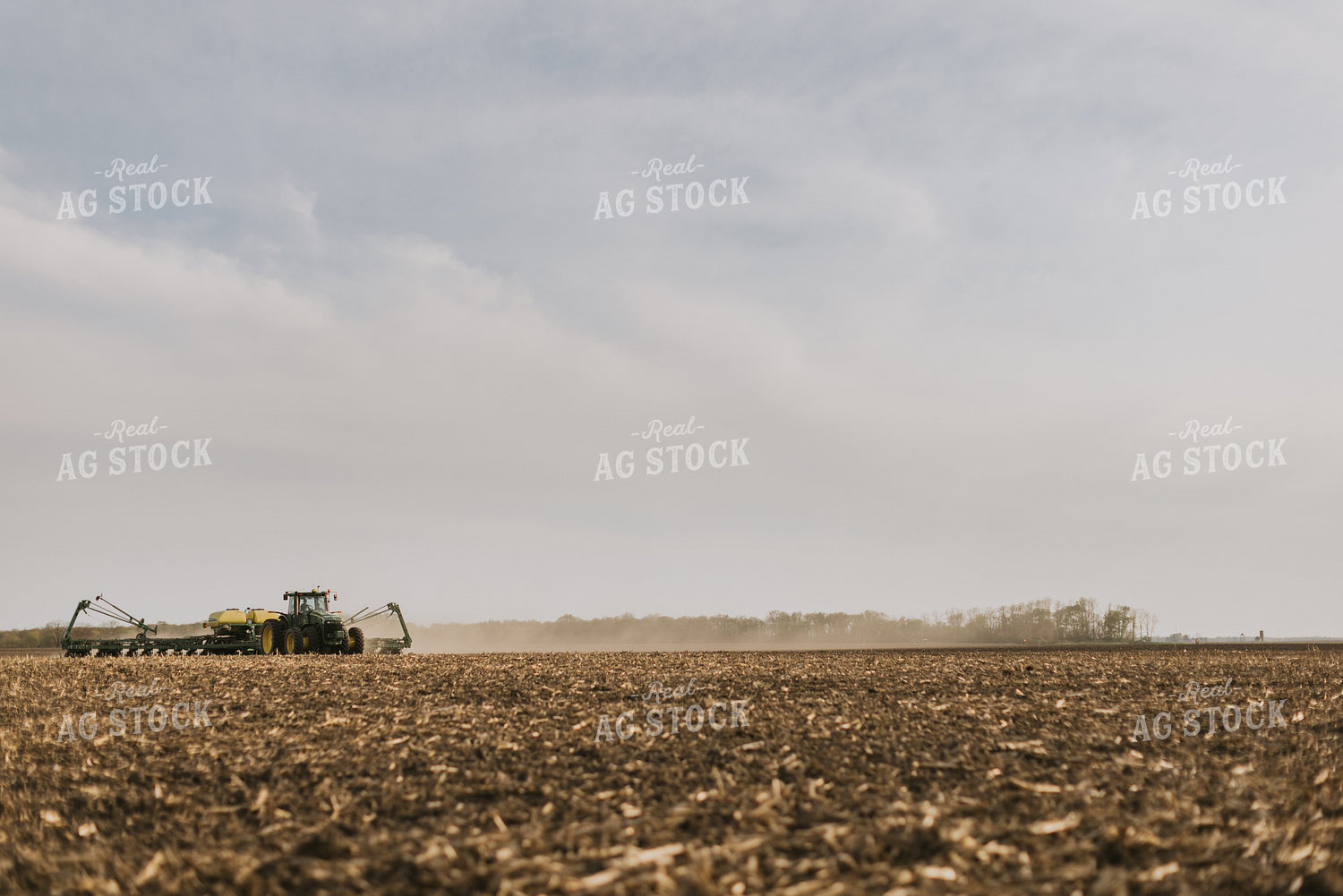 Planting 8193
