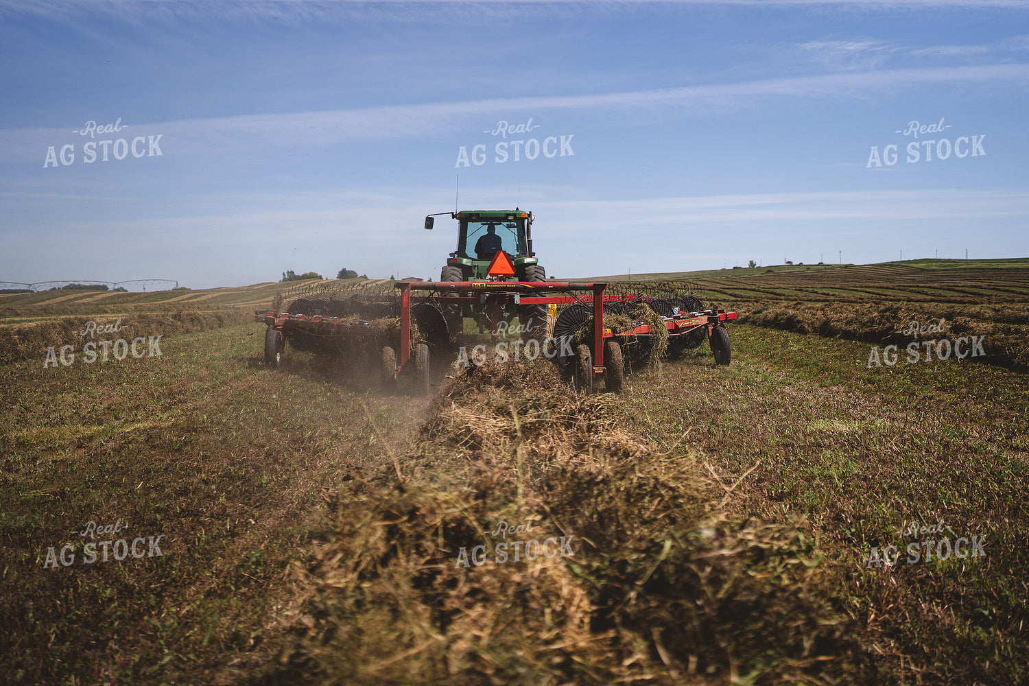 Raking Hay 196049