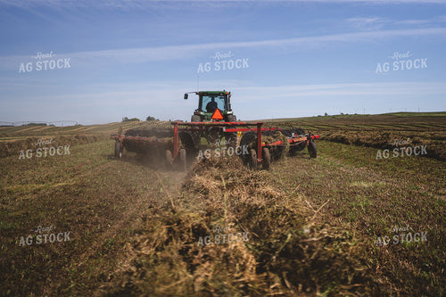 Raking Hay 196049