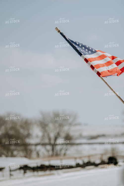Flag in Farmyard 77116