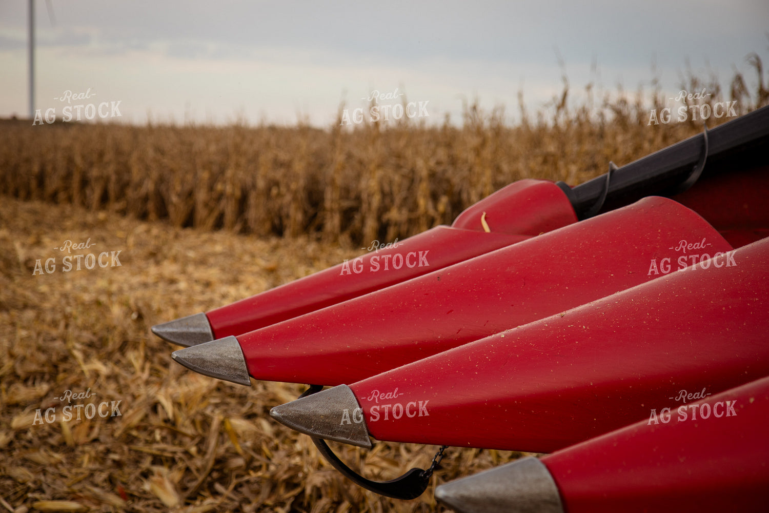 Corn Head on Combine 268191