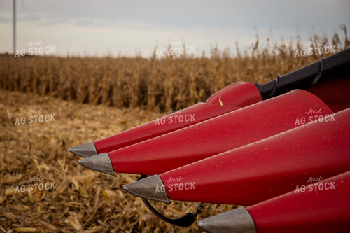 Corn Head on Combine 268191