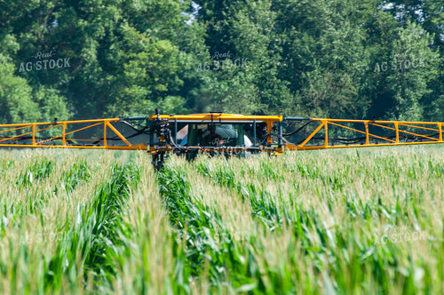 Sprayer Spraying Summer Corn 103008