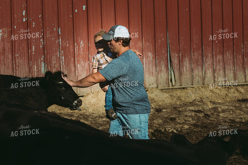 Farm Family Feeding Cows 3143
