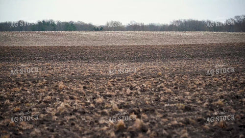 Planting into Tilled Cover Crops - 148