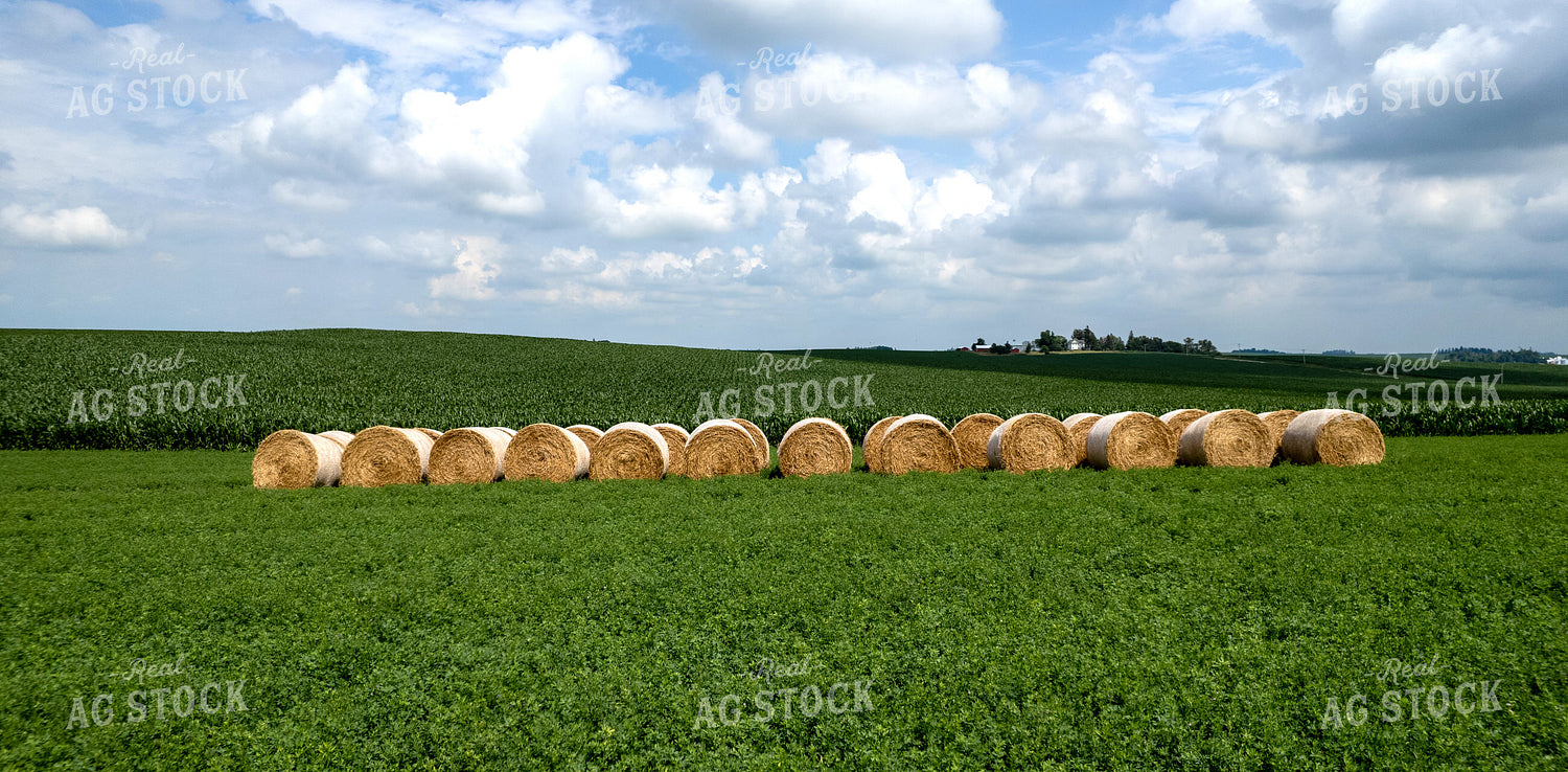 Round Bales 92011