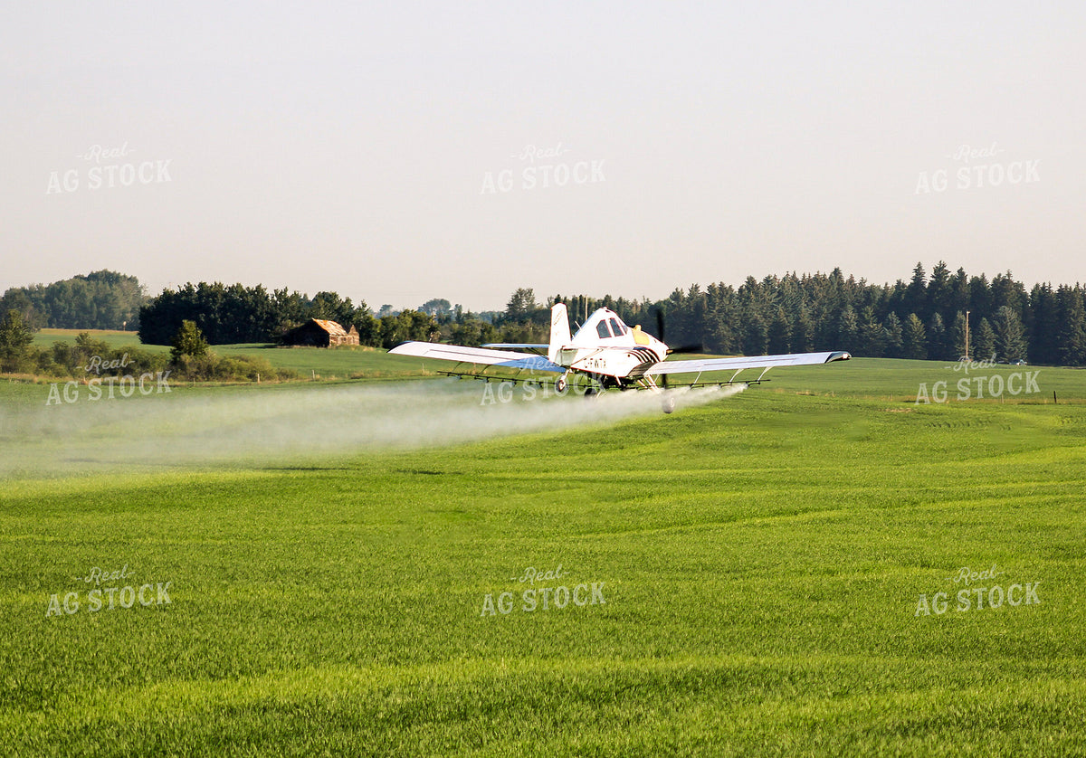 Crop Duster Plane Spraying Field 187385