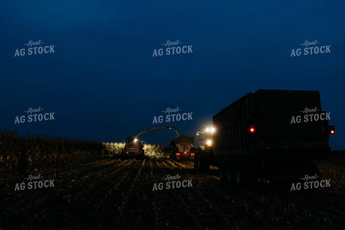 Chopping Corn Silage 152035