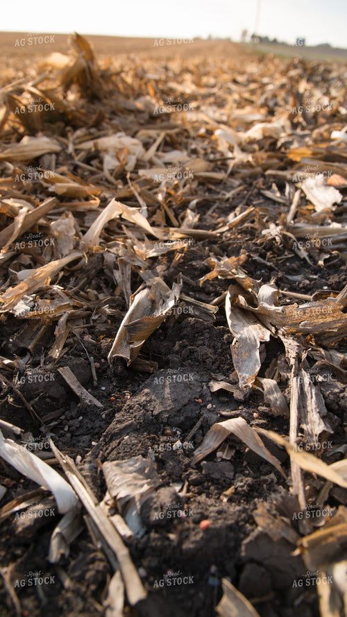 Dry Fertilizer on Soil 26112