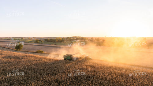 Corn Harvest 274002