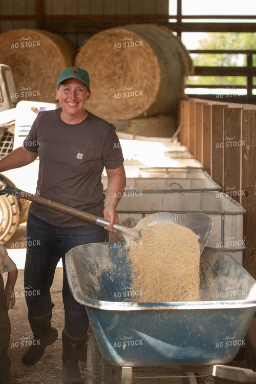 Farmer Feeding Cattle 76622