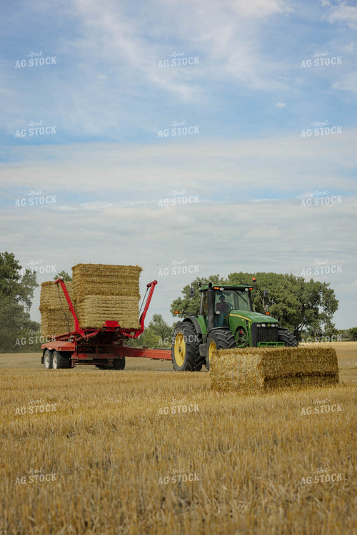 Loading Wheat Straw Bales 296066